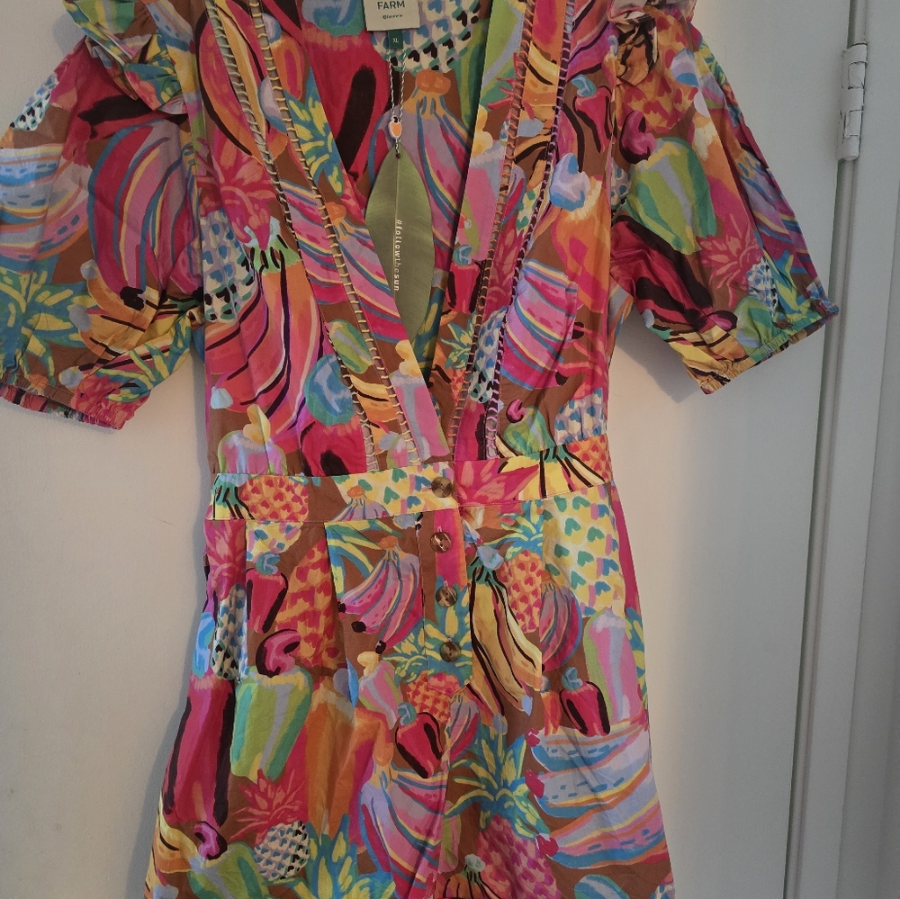 Farm Rio Romper - Picture 7 of 8